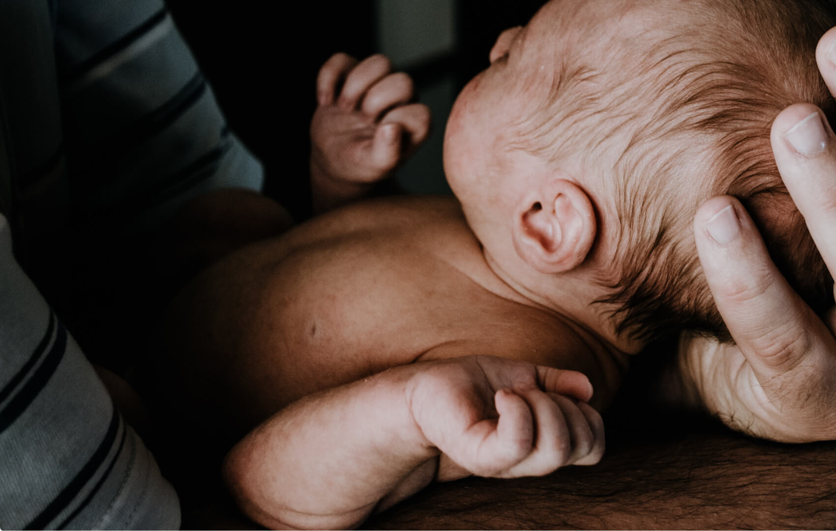 A newborn is gently cradled by a parent’s hands.